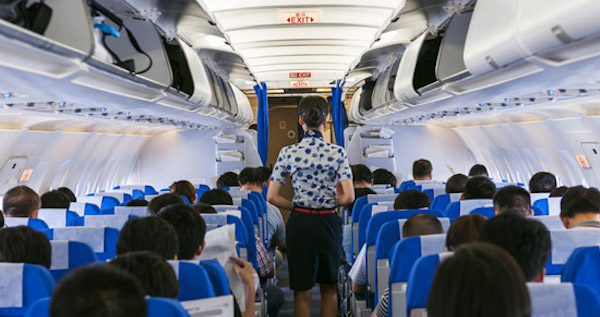 beautiful flight attendant on board of big plane